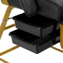 Fotel kosmetyczny 557G z kuwetami złoto czarny - 10
