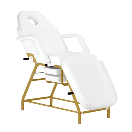 Fotel kosmetyczny 557G z kuwetami złoto biały - 2
