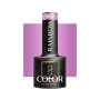 OCHO NAILS Lakier hybrydowy rainbow R07 -5 g - 2