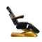 Fotel kosmetyczny elektryczny SILLON Lux Gold 273b 3 silniki czarny - 1