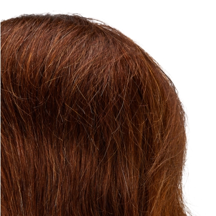 Główka treningowa fryzjerska Gabbiano WZ3 naturalne włosy, kolor 4H, długość 8" - 4