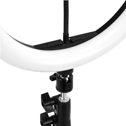 GLOW lampa pierścieniowa ring 10" bsc ze statywem 10W - 11