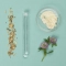 ageLOC Nutriol Scalp & Hair System - 1