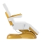Fotel kosmetyczny elektryczny SILLON Lux 273b 3 silniki złoto biały - 1