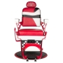 Gabbiano fotel barberski Artisan color - 5