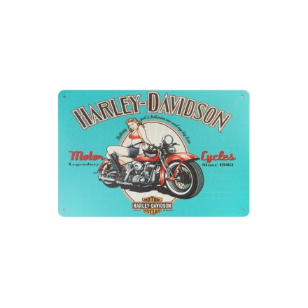 Tablica ozdobna harley HD010