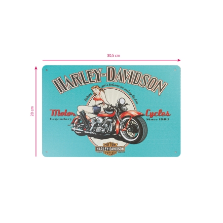 Tablica ozdobna harley HD010 - 2