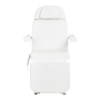 Fotel kosmetyczny Expert W-12 4 silniki biały - 5
