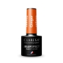 CLARESA JELLY GINGER 5ml - 4